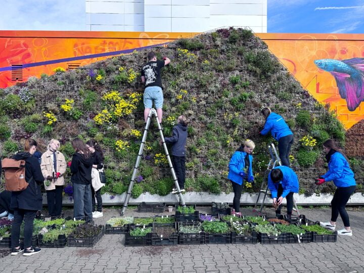 Mehrere Menschen stehen an einer Wand mit Pflanzen, davor stehe viele Pflanztöpfe auf dem Boden