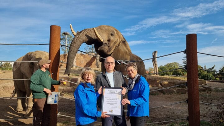 3 Personen, zwei Damen in blauen Jacken und ein Herr in der Mitte mit grauer Jacke hatlen einen Bilderrahmen. Hinter ihnen ist ein Stromzaun und dahinter steht ein Elefant, der von einem Tierpfleger gefüttert wird.