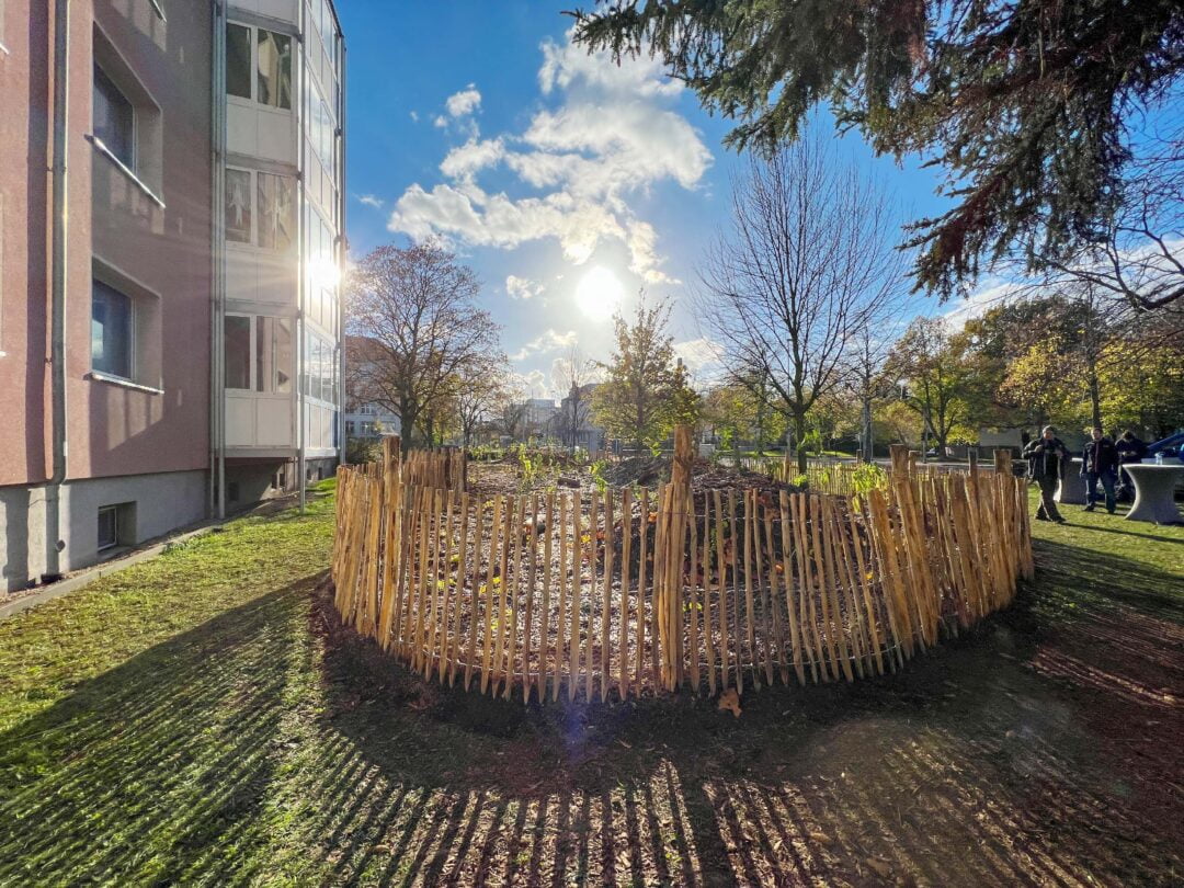 Hinter einem Wilzaun aus Holz befinden sich kleine Bäumchen im Hintergrund die Sonne am blauen Himmel ©Anett Pommerenke