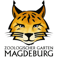 Logo Magdeburger Zoo Luchs